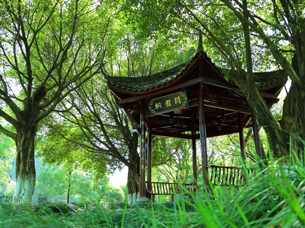 1688435290654053302.png 封面及第一張.png