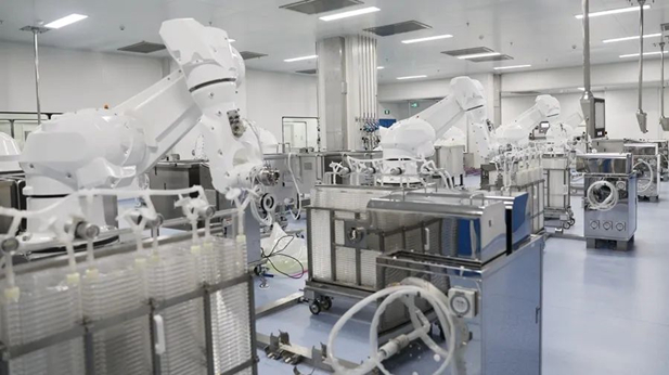 1734919692165077354.jpg 2_副本.jpg