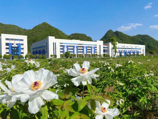 1741065826253052053.jpg 11.jpg