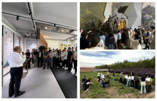 1757640376037078596.png 4.png