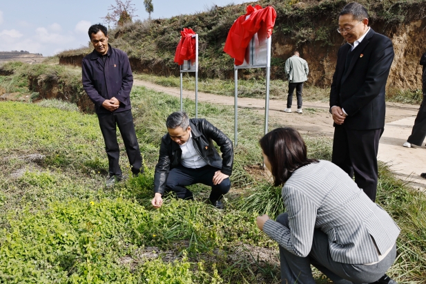 1761814819050006122.jpg 實地調研 (4).jpg